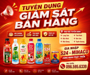 Mihaco tuyển dụng vị tri giám sát bán hàng